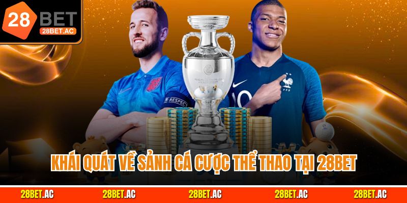 Khái quát về sảnh cá cược thể thao tại 28Bet